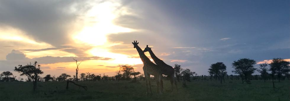 レビュアーのカバー画像