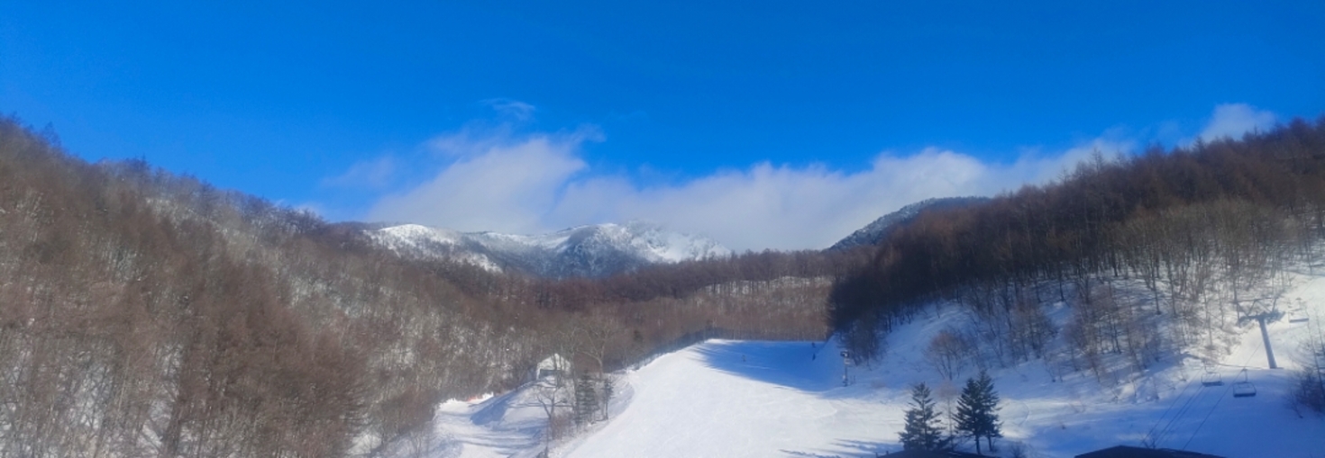 レビュアーのカバー画像