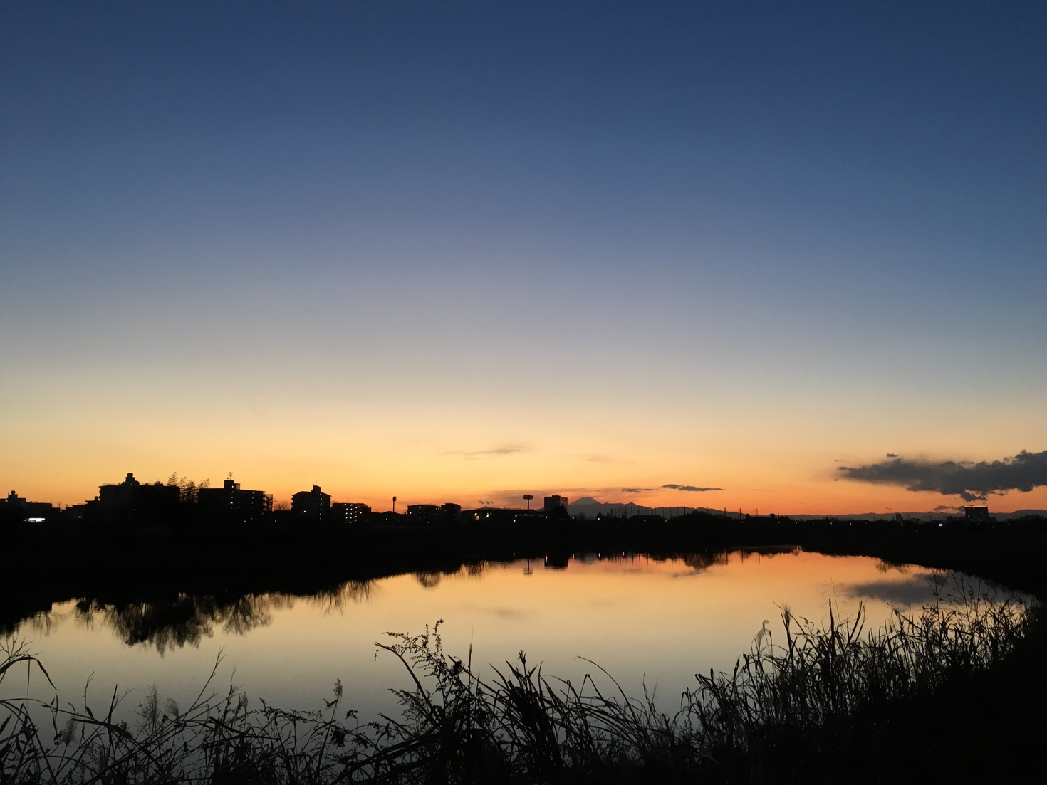 レビュアーのカバー画像