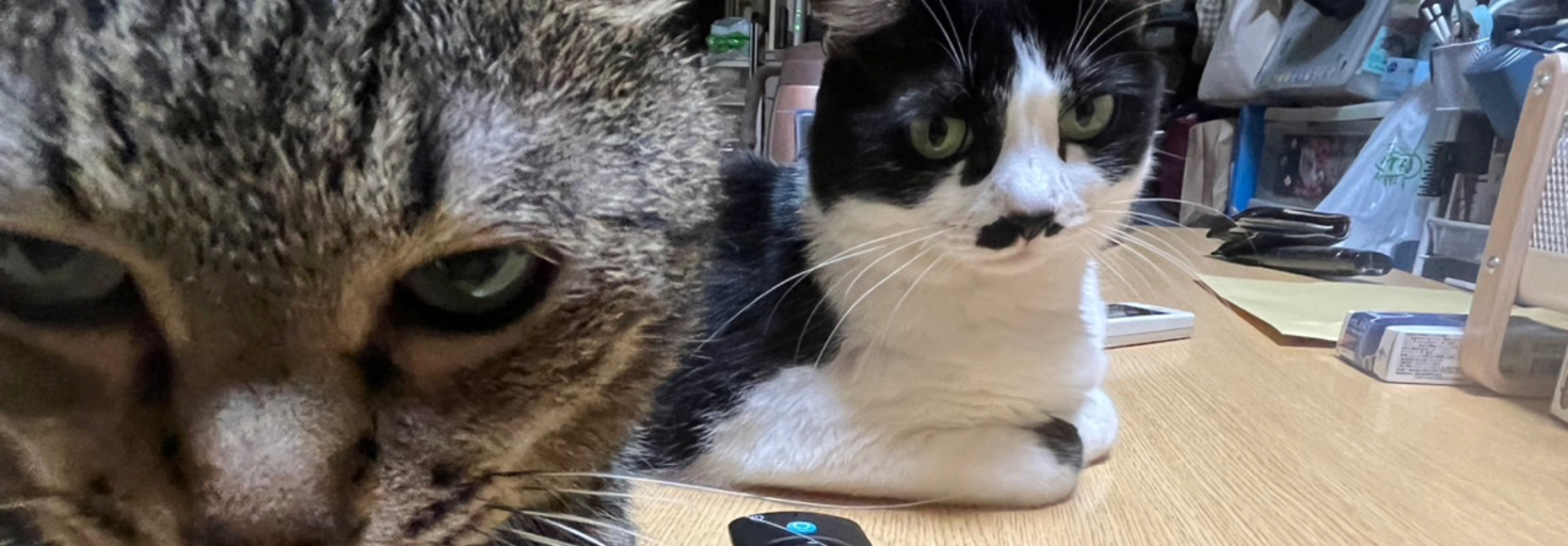 レビュアーのカバー画像