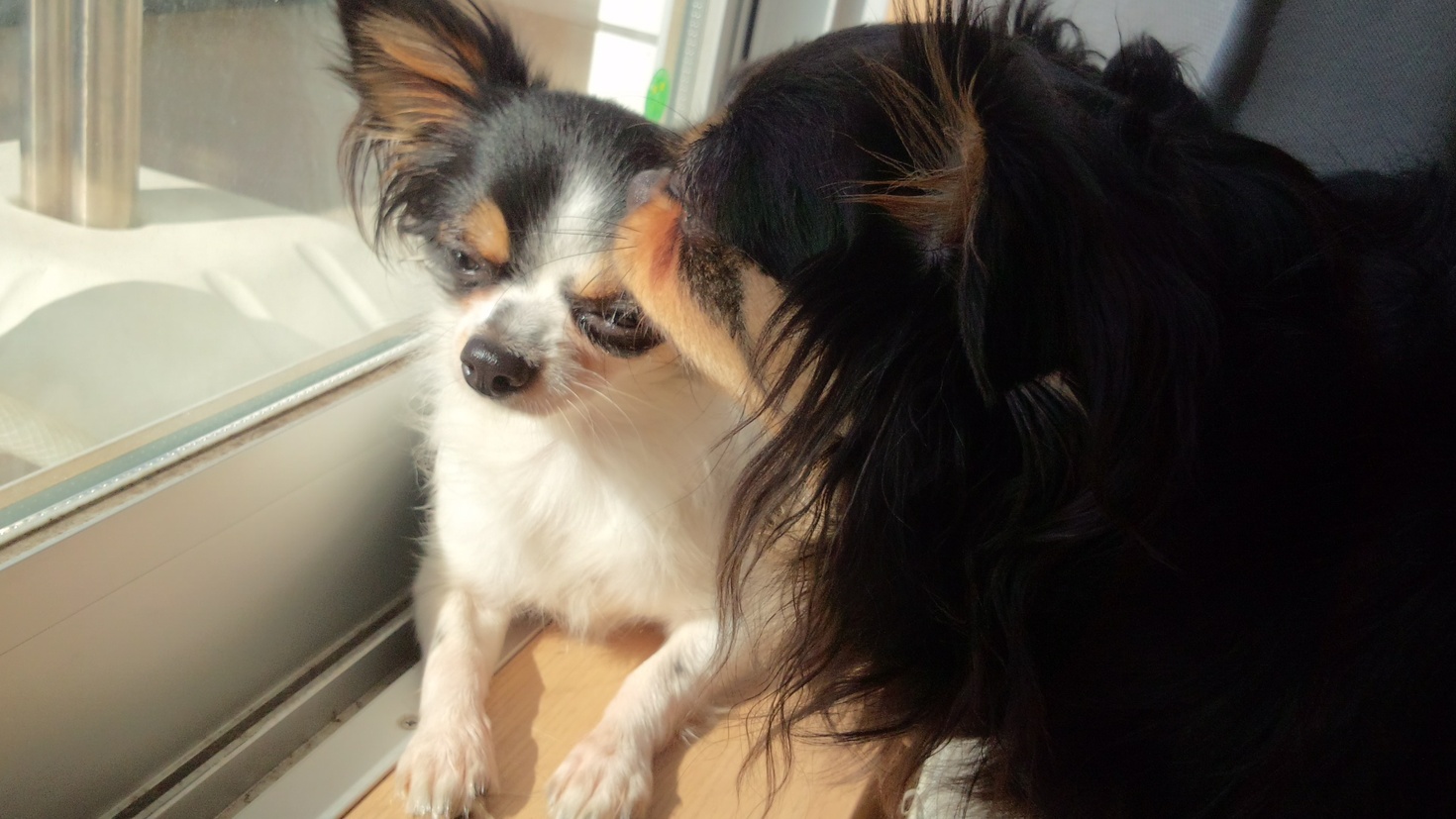 レビュアーのカバー画像