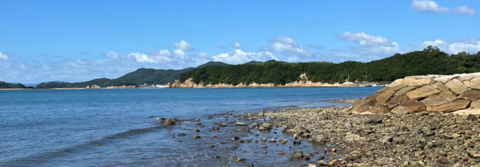 レビュアーのカバー画像