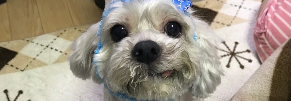 レビュアーのカバー画像