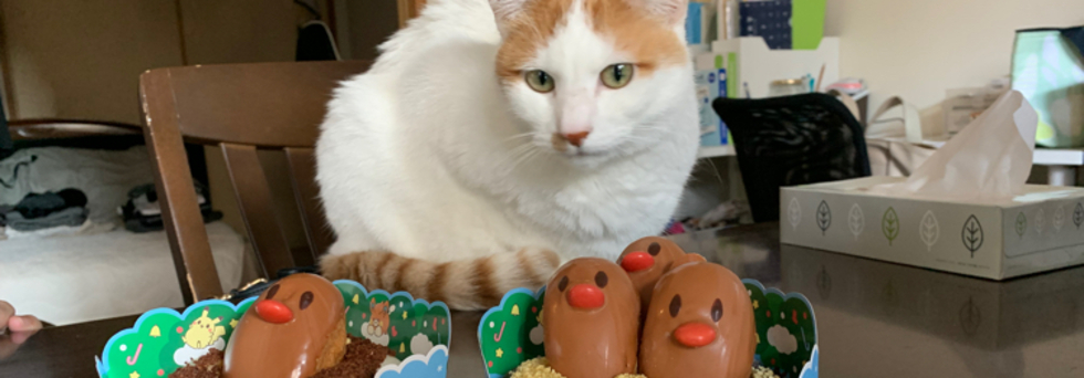 レビュアーのカバー画像