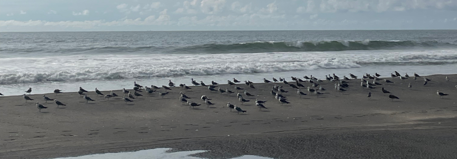 レビュアーのカバー画像