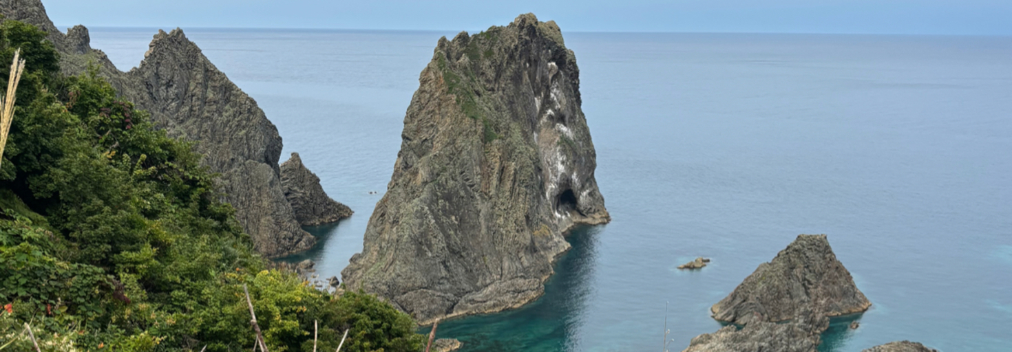 レビュアーのカバー画像