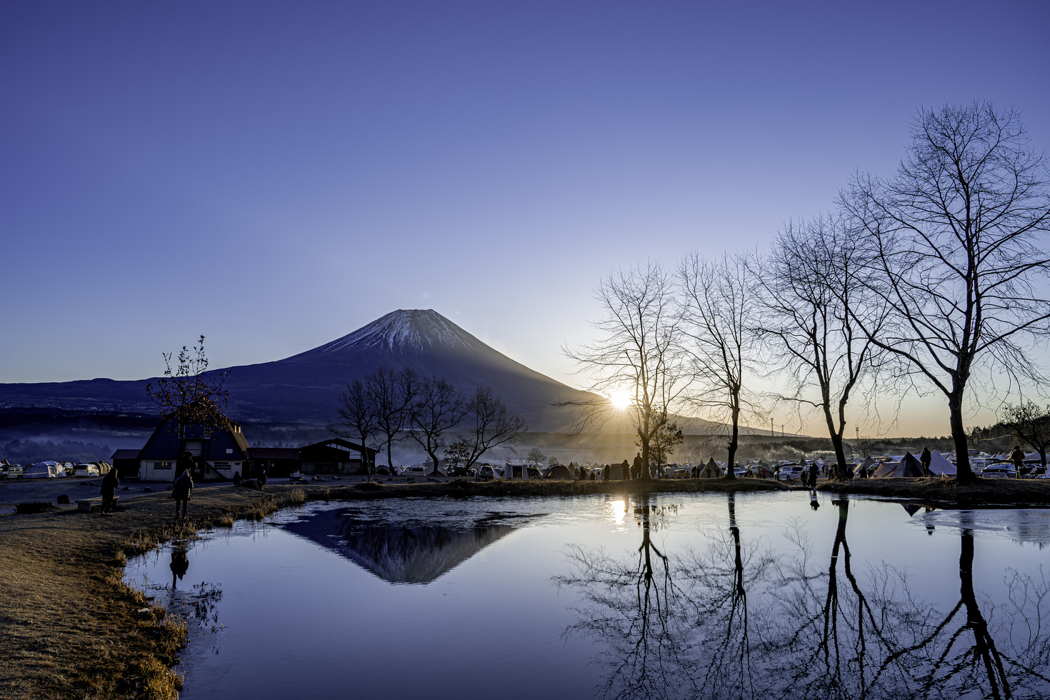 レビュアーのカバー画像