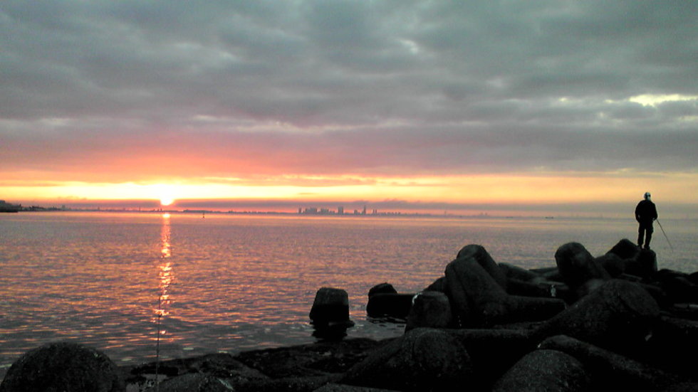 レビュアーのカバー画像