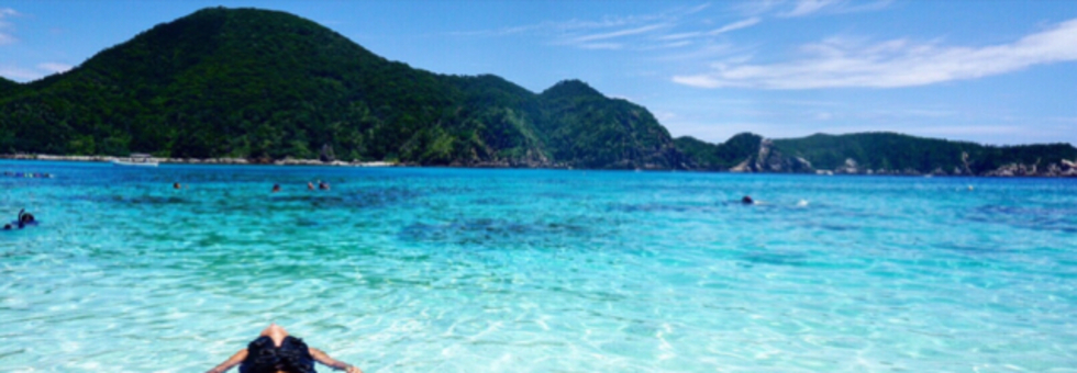 レビュアーのカバー画像