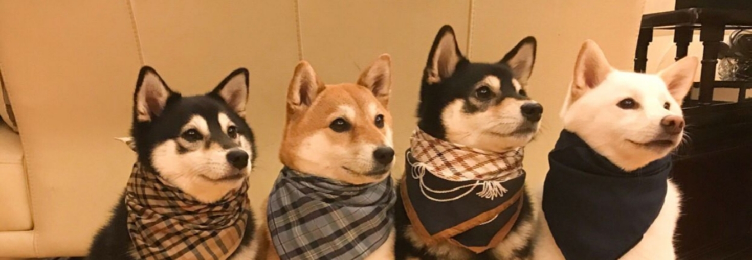 レビュアーのカバー画像