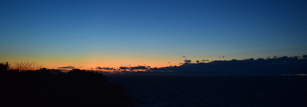 レビュアーのカバー画像