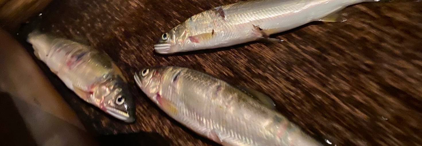 レビュアーのカバー画像