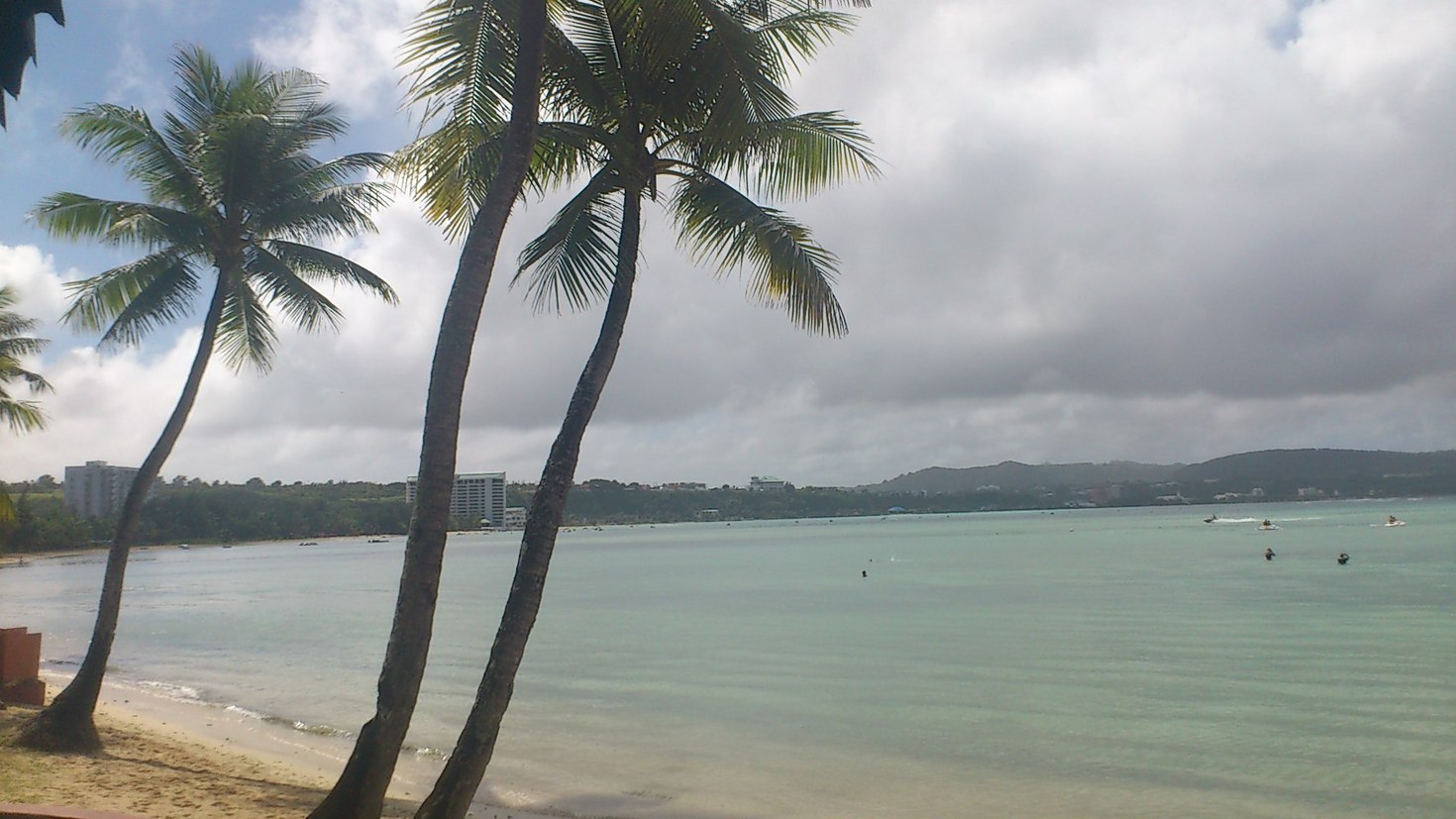 レビュアーのカバー画像