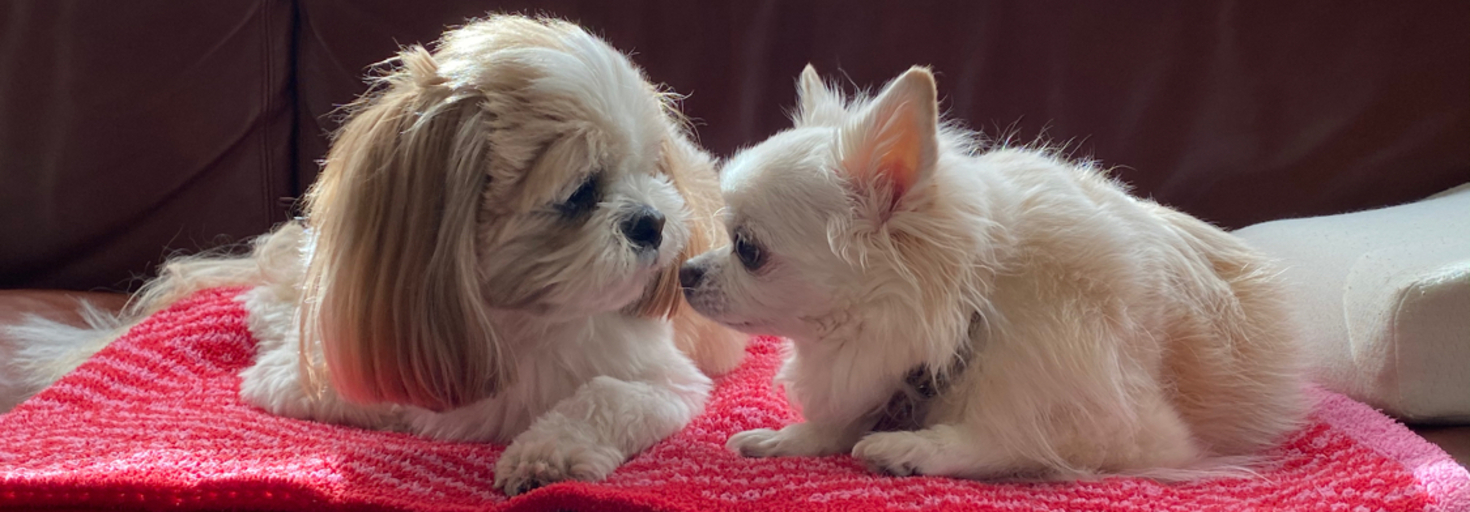 レビュアーのカバー画像