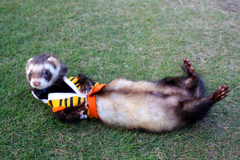 レビュアーのカバー画像