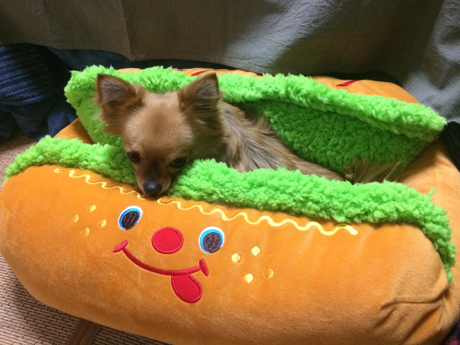 レビュアーのカバー画像