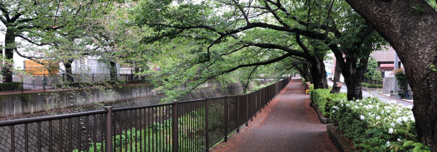 レビュアーのカバー画像