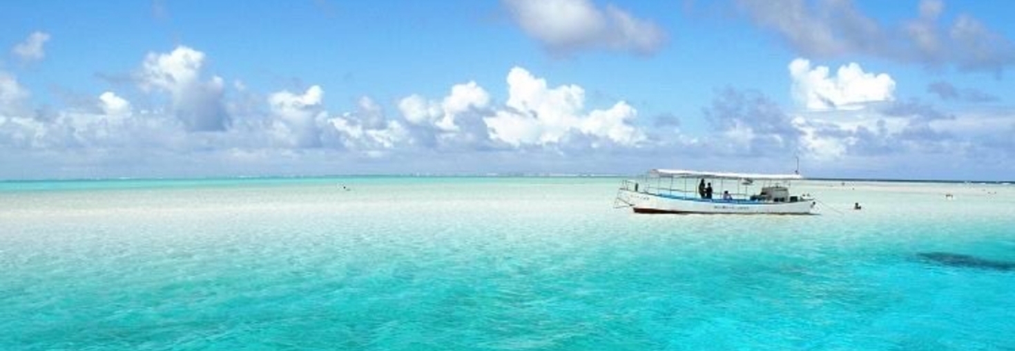 レビュアーのカバー画像