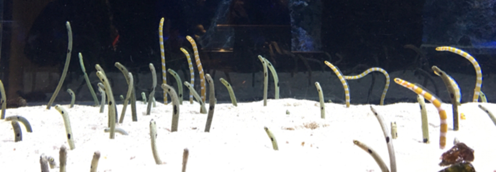 レビュアーのカバー画像