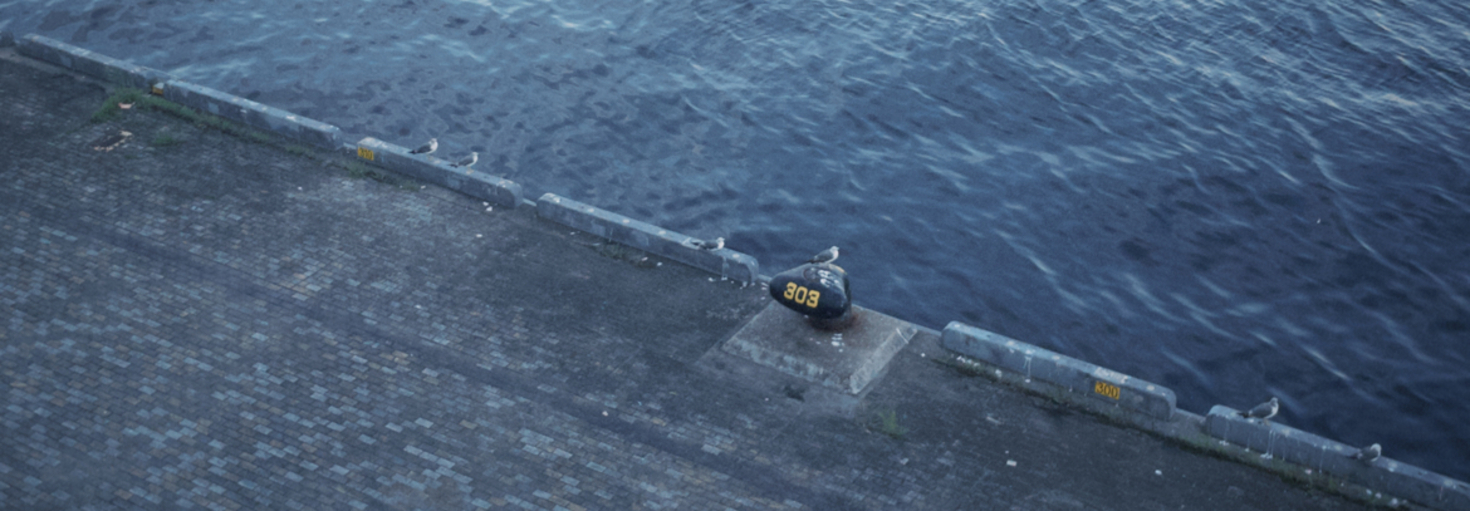 レビュアーのカバー画像