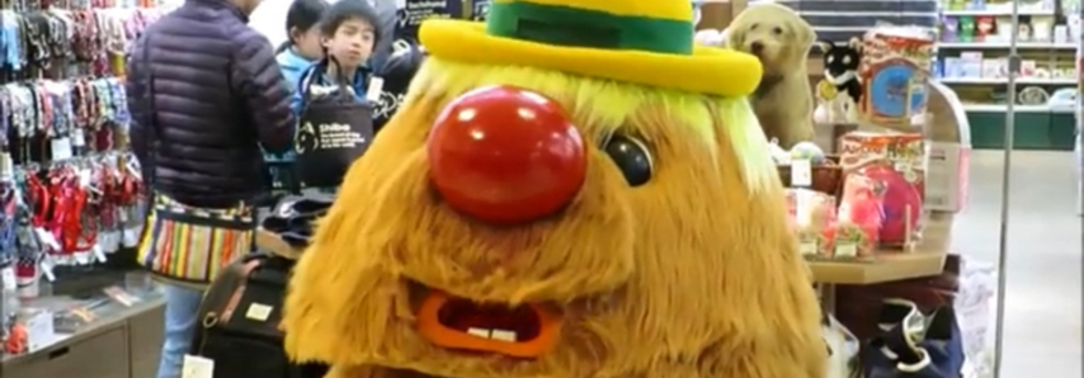 レビュアーのカバー画像