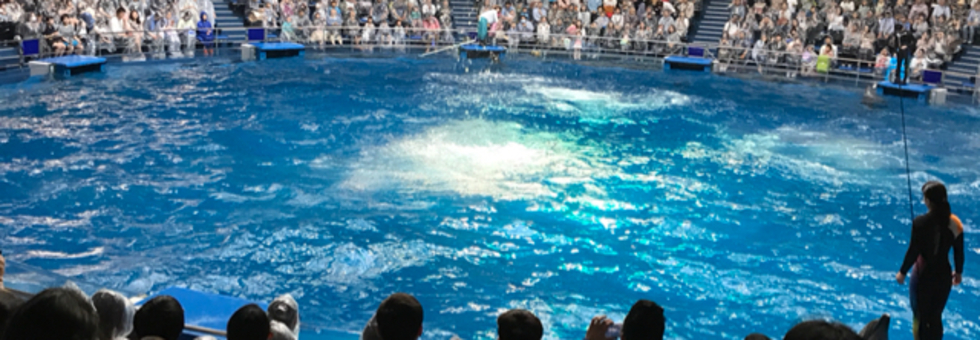 レビュアーのカバー画像