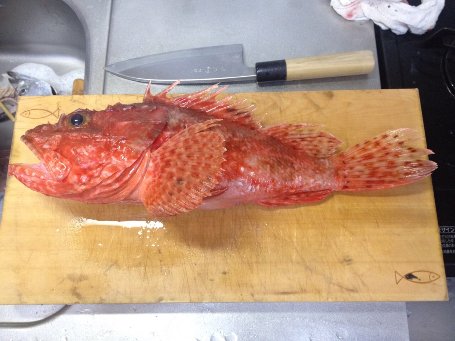 レビュアーのカバー画像