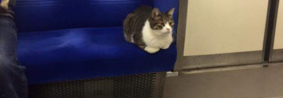 レビュアーのカバー画像