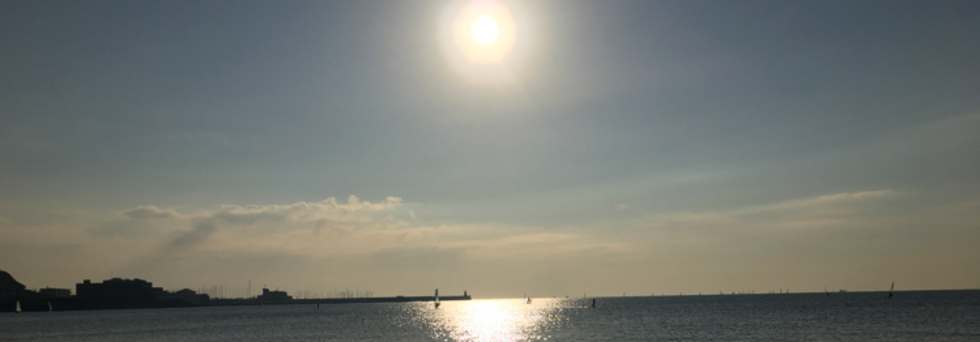 レビュアーのカバー画像