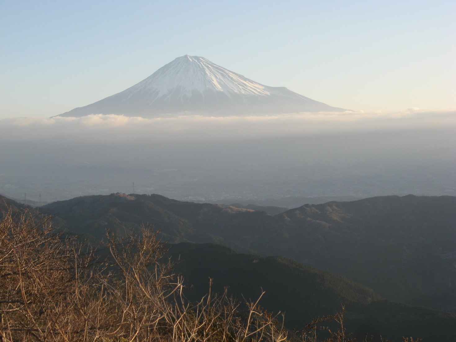 レビュアーのカバー画像