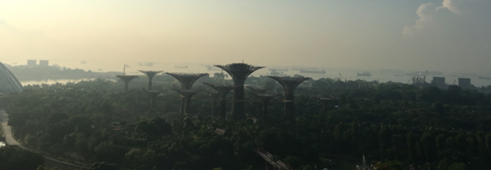 レビュアーのカバー画像