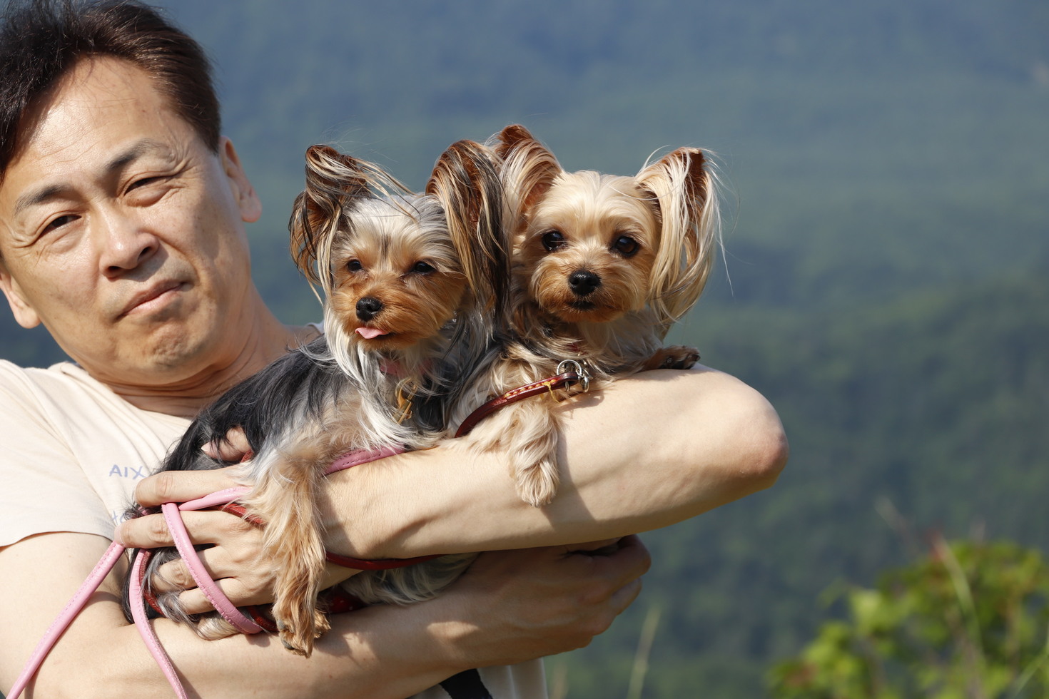 レビュアーのカバー画像