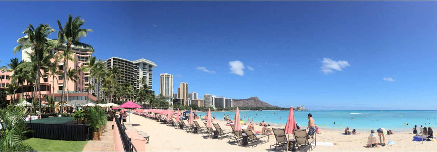 レビュアーのカバー画像