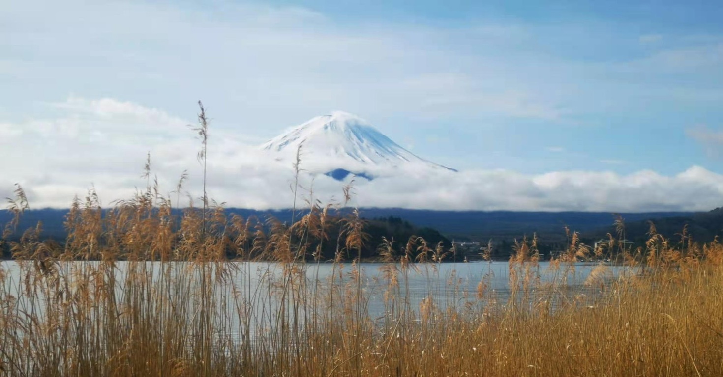 レビュアーのカバー画像