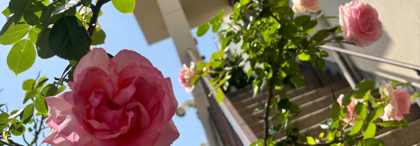 レビュアーのカバー画像