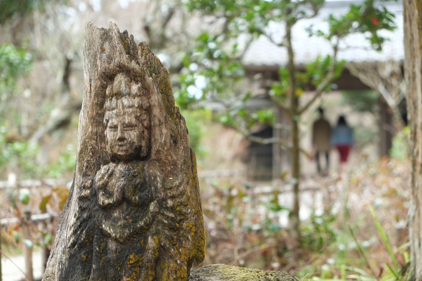 レビュアーのカバー画像