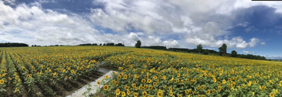 レビュアーのカバー画像