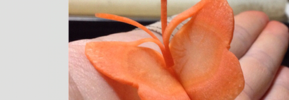 レビュアーのカバー画像