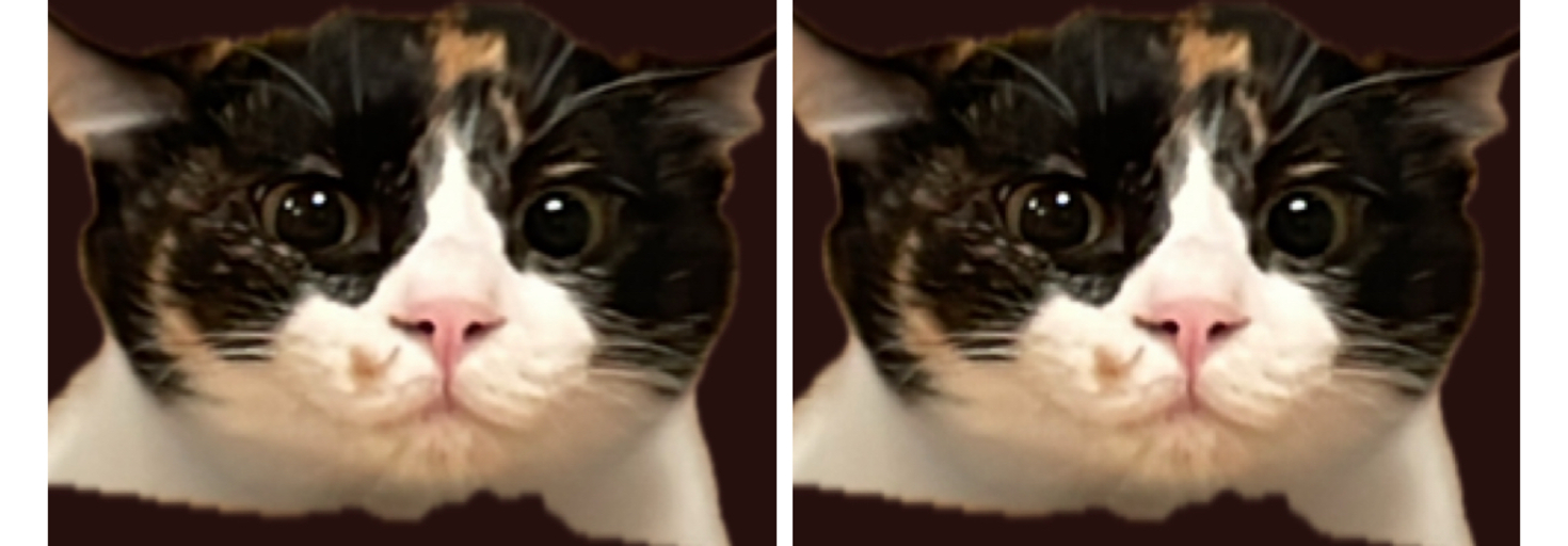 レビュアーのカバー画像