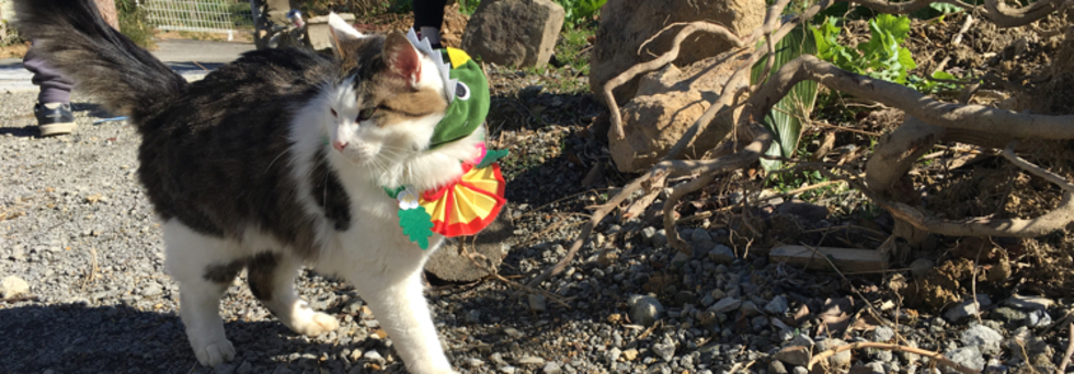 レビュアーのカバー画像