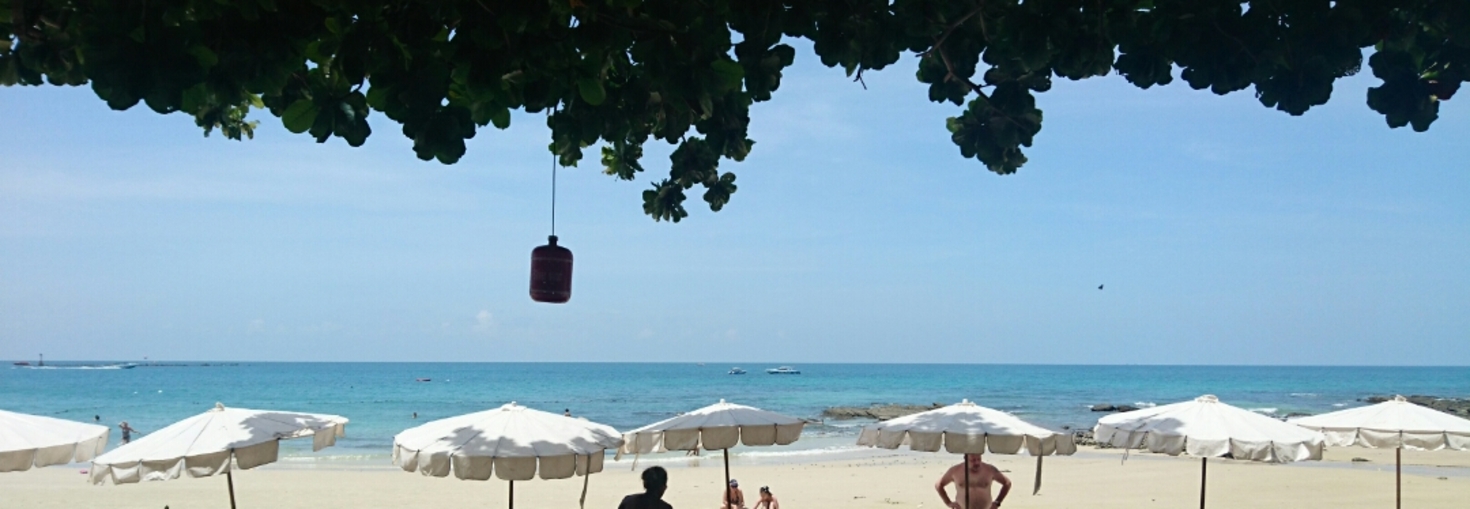 レビュアーのカバー画像