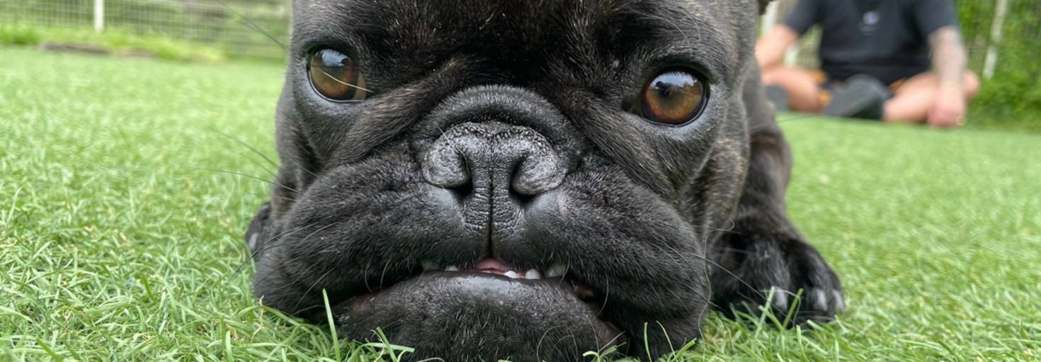 レビュアーのカバー画像