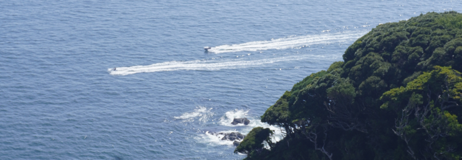 レビュアーのカバー画像