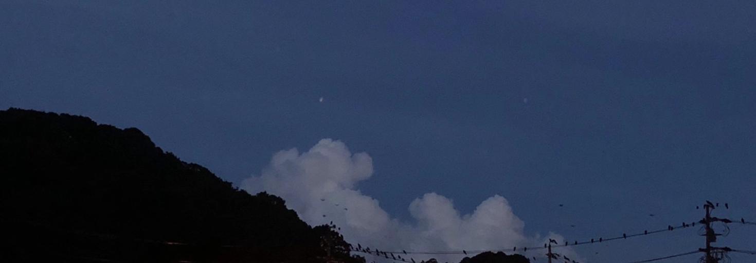 レビュアーのカバー画像