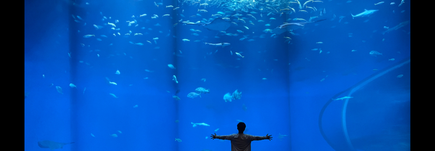 レビュアーのカバー画像