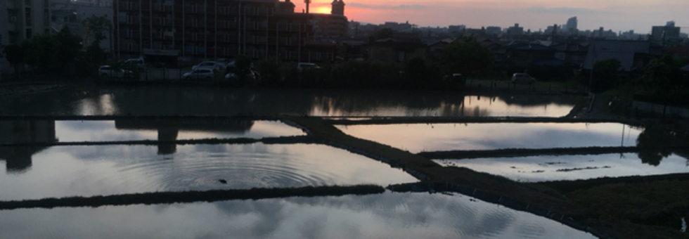 レビュアーのカバー画像