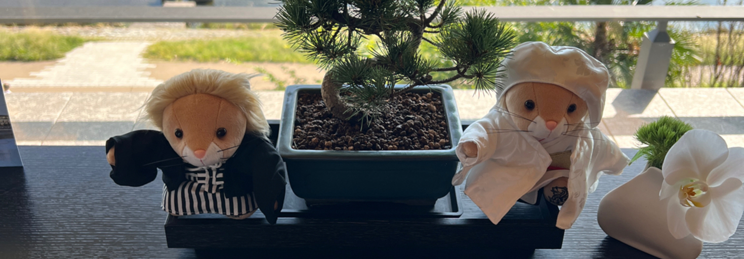 レビュアーのカバー画像