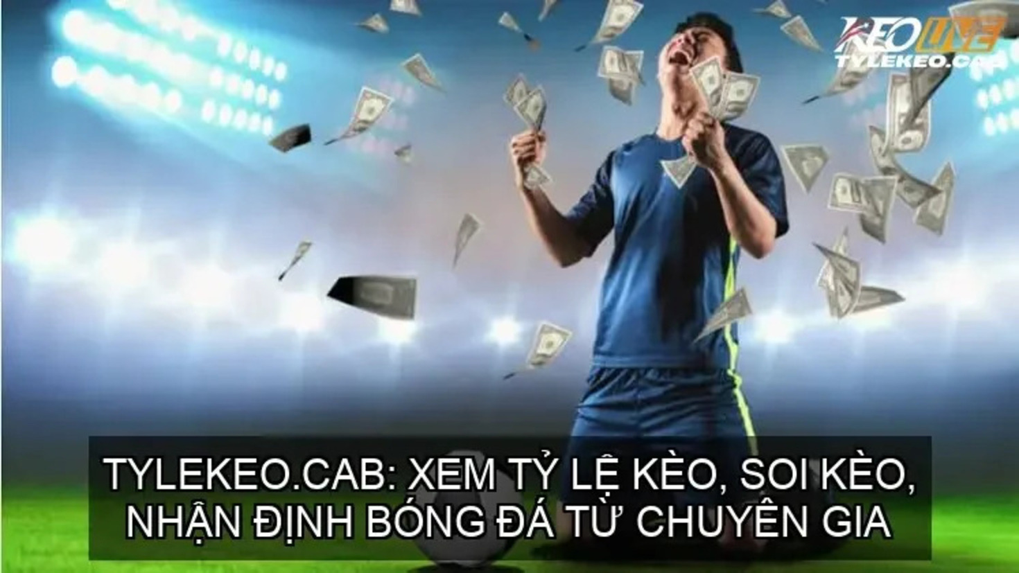 Khám Phá Thế Giới Kỹ Năng - Hành Trình Cùng Tylekeo Đến Với Thành Công Bảo Lâu