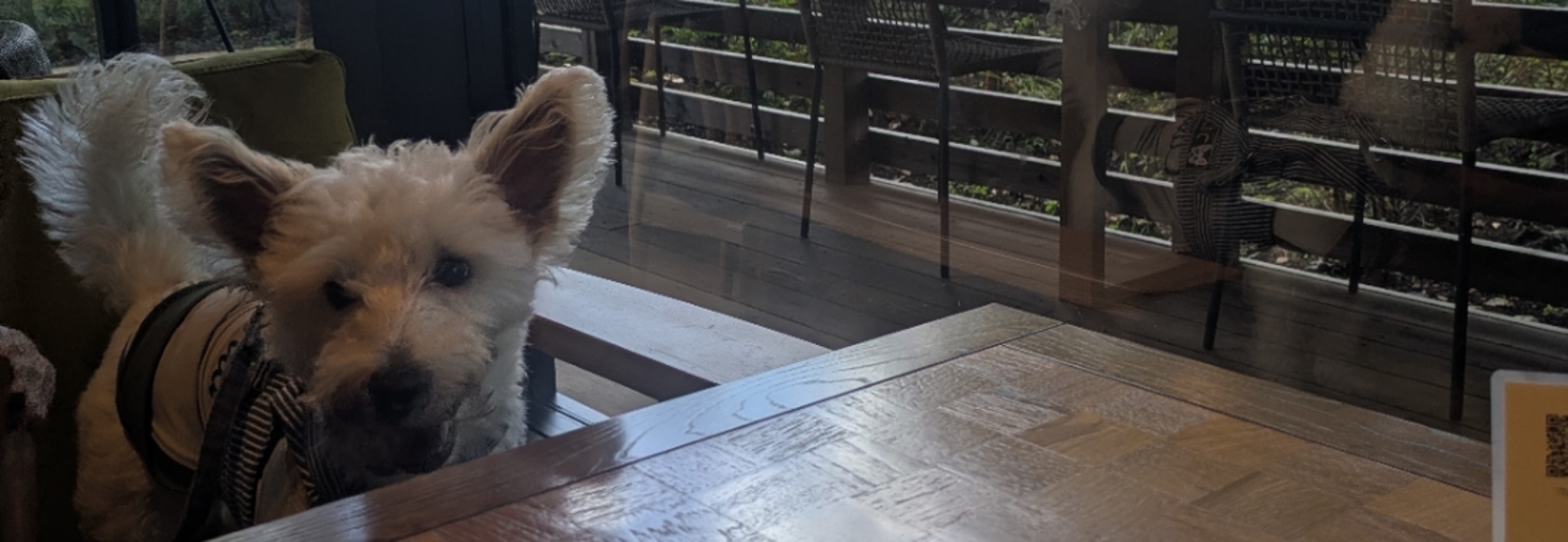 レビュアーのカバー画像