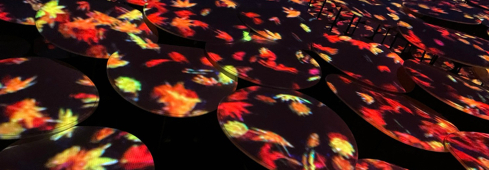 レビュアーのカバー画像